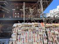 東京 湯島天神 ⛩️📚