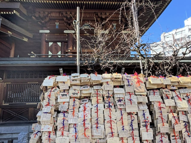 東京 湯島天神 ⛩️📚