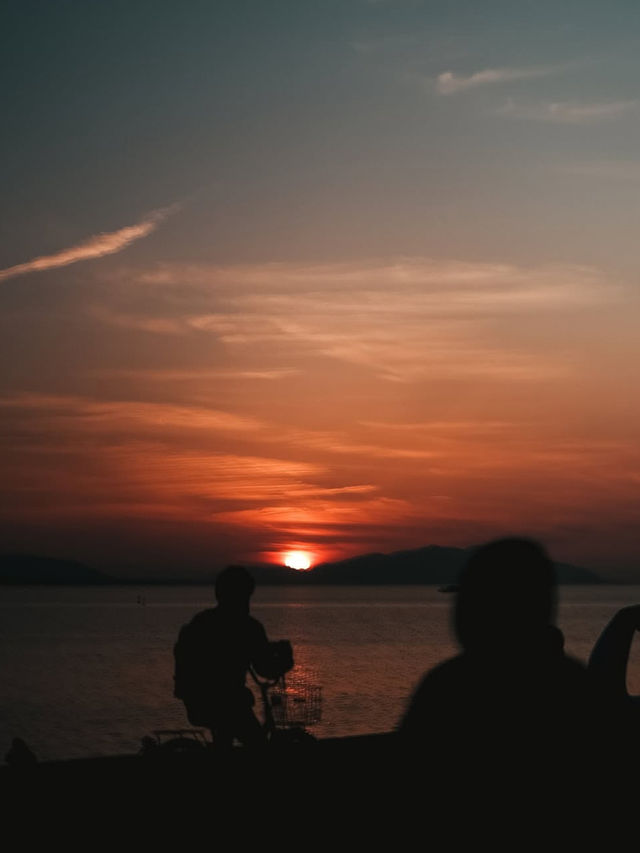 🌅島根・松江｜宍道湖｜夕日に染まる湖畔で、心ほどける絶景のひととき🦢✨