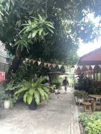 All day fine x good cafe 🍵