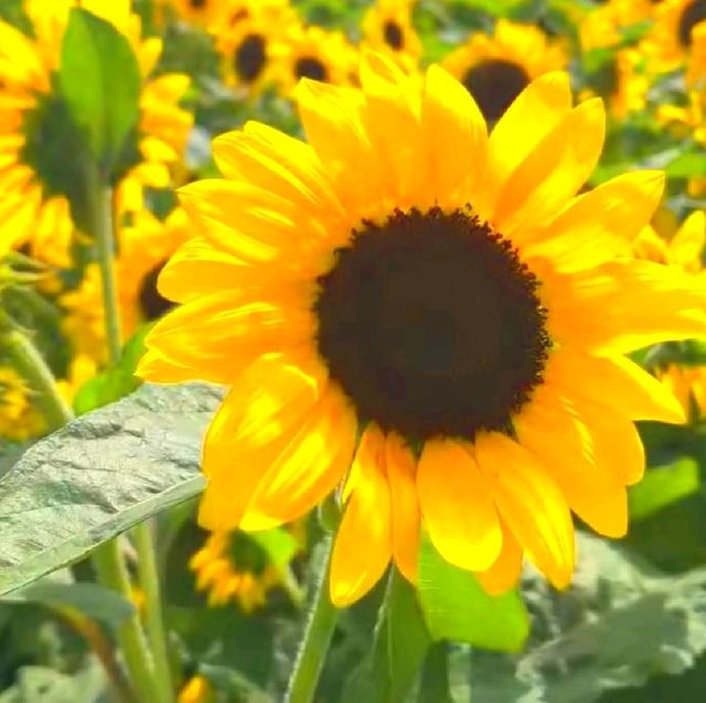 長井海之手公園