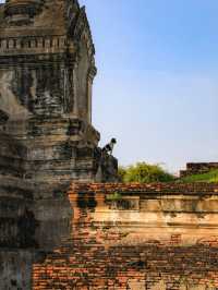 【アユタヤ🇹🇭】タイの歴史を感じる1日