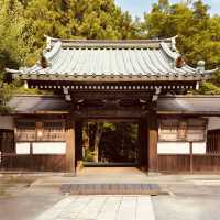 🌊 Solo Zen Escape: Hase-dera Temple in Kamakura