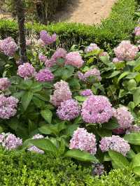 부천 여름 야외 데이트는 바로 여기🌸