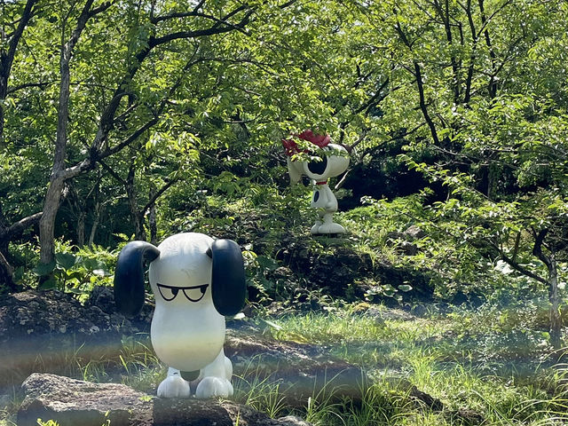 濟州｜Snoopy Garden 史努比庭園