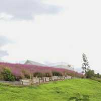 Donghouse Khaoyai — คาเฟ่บนเนินเขาวิว 360° 🌄🏡
