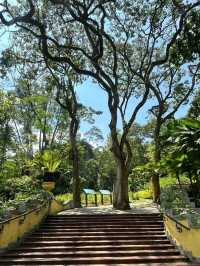 Oasis Garden: KL’s Hidden Haven of Peace and Greenery