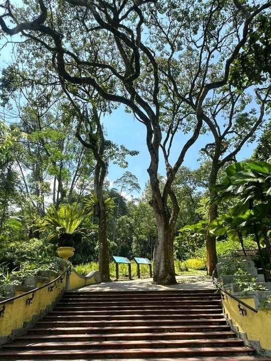 Oasis Garden: KL’s Hidden Haven of Peace and Greenery