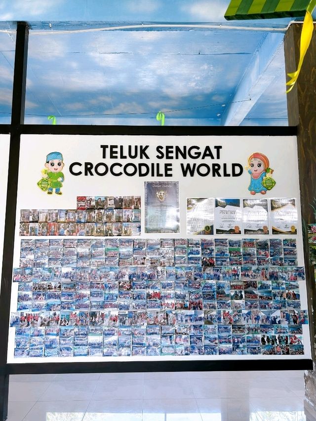 Croc Spotting at Teluk Sengat Crocodile Farm
