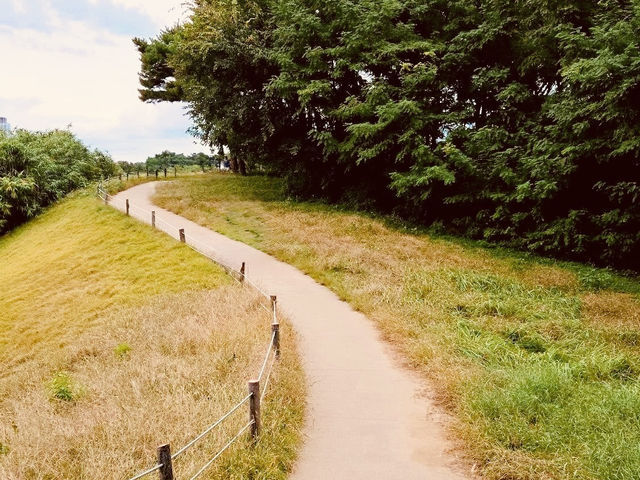 Seoul Olympic Park: Where 1988 Glory Meets Peaceful Solitude – A Solo Traveler’s Oasis"** 🏅🌳
