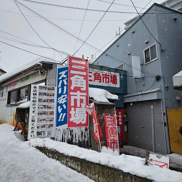 Charming Otaru Escape: 2-day Cultural & Culinary Journey from Sapporo