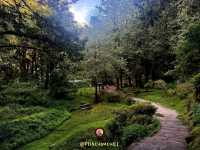 Alishan