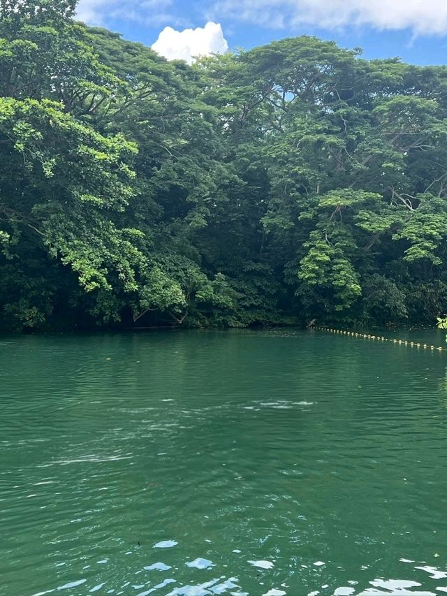 Nature Moments at Villa Escudero