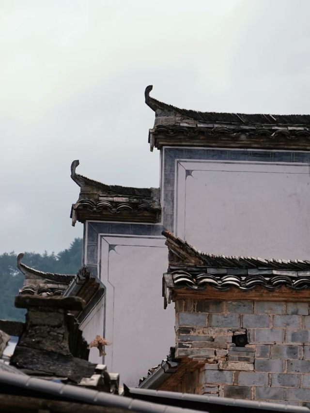 Hongcun Village – Preserving 900 Years of Chinese Elegance