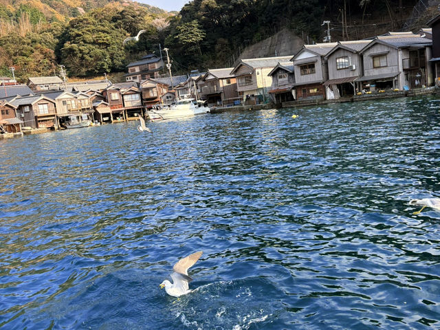 伊根舟屋太美了