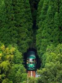 🇯🇵日本旅遊🏯九州先係度假天花板