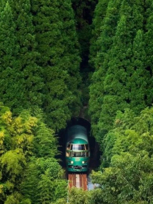 🇯🇵日本旅遊🏯九州先係度假天花板