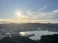 🏞️ Mount Victoria Lookout｜Wellington 城市與海港的天然畫框