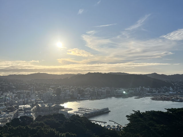 🏞️ Mount Victoria Lookout｜Wellington 城市與海港的天然畫框