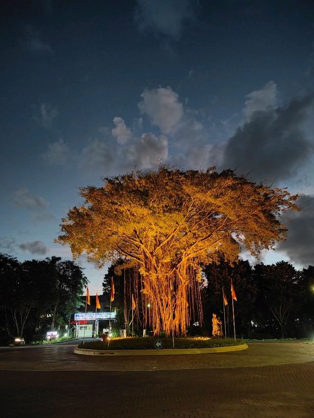 Mystical Night Stroll through Nusa Dua