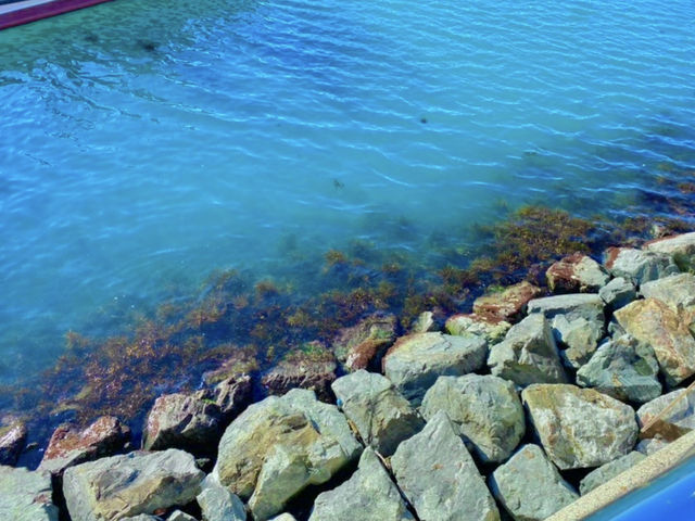 광안리 vs 기장 바다, 어디가 더 좋을까? 🤔🌊 