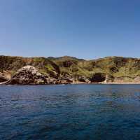 Irozaki Sightseeing Boat: A Solo Adventure Along Shizuoka’s Dramatic Coastline"** 🌊⛵  