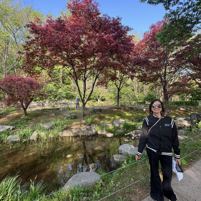 🇰🇷 How to spend 28 days in Seoul
