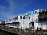 🌊 Pier 39 San Francisco: เดินชิล ชมสิงโตทะเล!