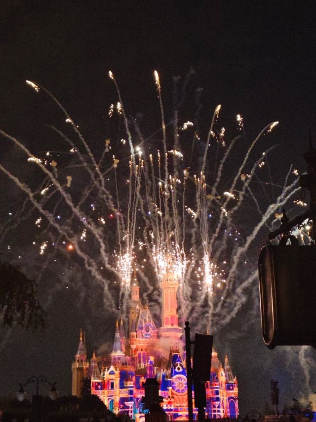 Disney Fun for the Smallest Fans: Top Rides & Smiles at Shanghai Disneyland