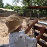 NIGHT SAFARI จ.เชียงใหม่