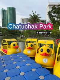 Chatuchak Park สวนจตุจักร