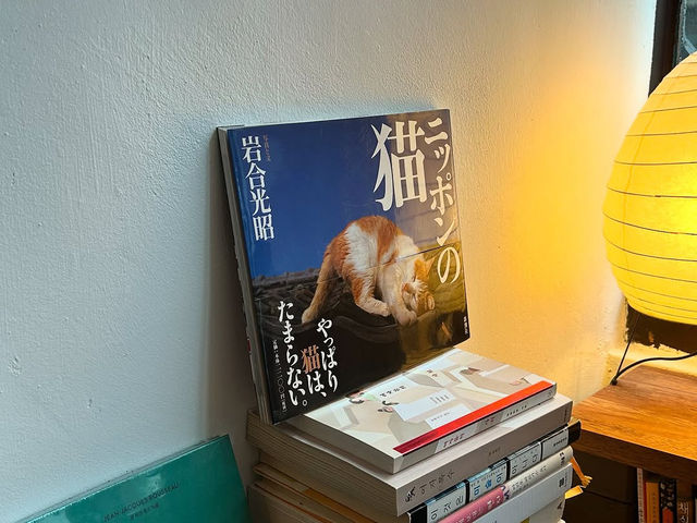 Goyo Room