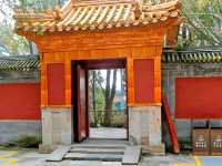 Elegant Rain‑Calling Dragon Temple in Summer Palace