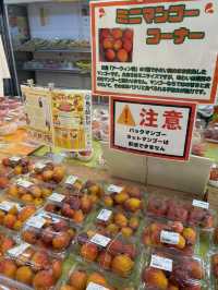 【沖縄県・宮古島】宮古島でお土産買うならここ🛍️