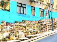 Hong Kong's bustling street arts