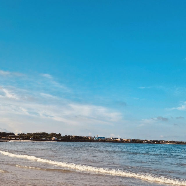 Whispers of the Tide: A Beach for Reflection