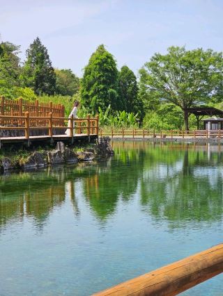 The sky and greenery reflected in the clear pond 💧 A healing water spot given to us by nature 🌿