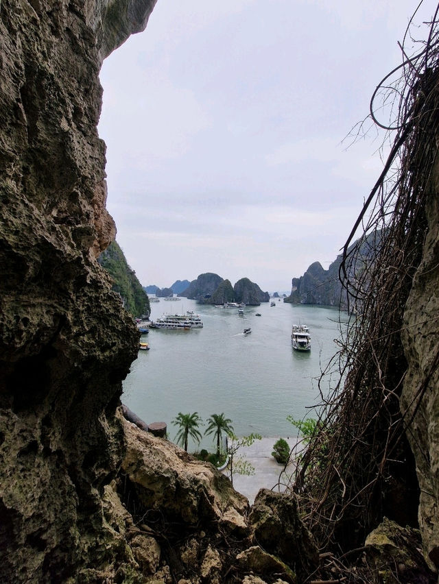 Vietnam Adventure