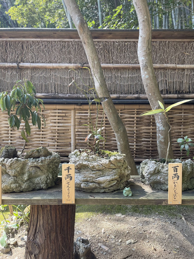 🇯🇵 Giōji Temple