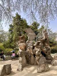 🌸 Mountain Stone & Blooming Beauty — Hidden Charms of Renmin Park, Zhengzhou