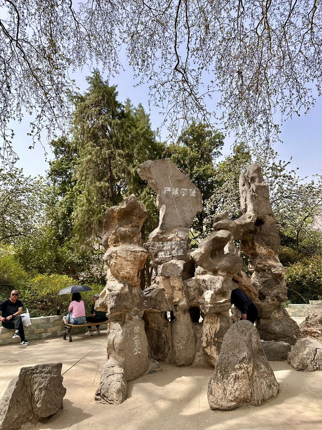 🌸 Mountain Stone & Blooming Beauty — Hidden Charms of Renmin Park, Zhengzhou 🌸 Mountain Stone & Blooming Beauty — Hidden Charms of Renmin Park, Zhengzhou