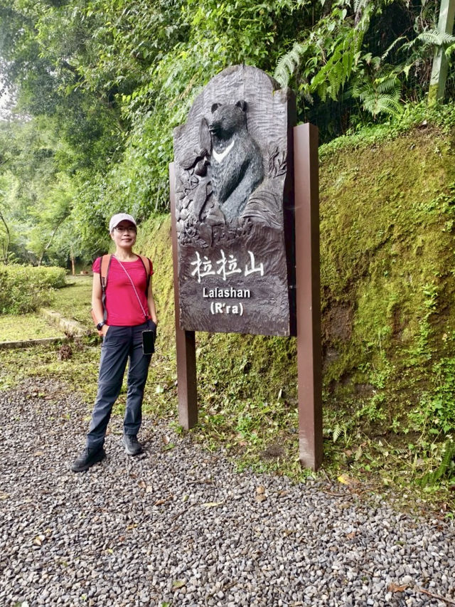 台灣桃園｜拉拉山森林遊樂區～神木步道・心靈散步日記