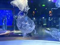 หลบร้อนจาก fun park มา Aquarium @ Vinwonder