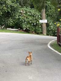 ไปเติมพลังให้ธรรมชาติโอบกอดกัน !!!