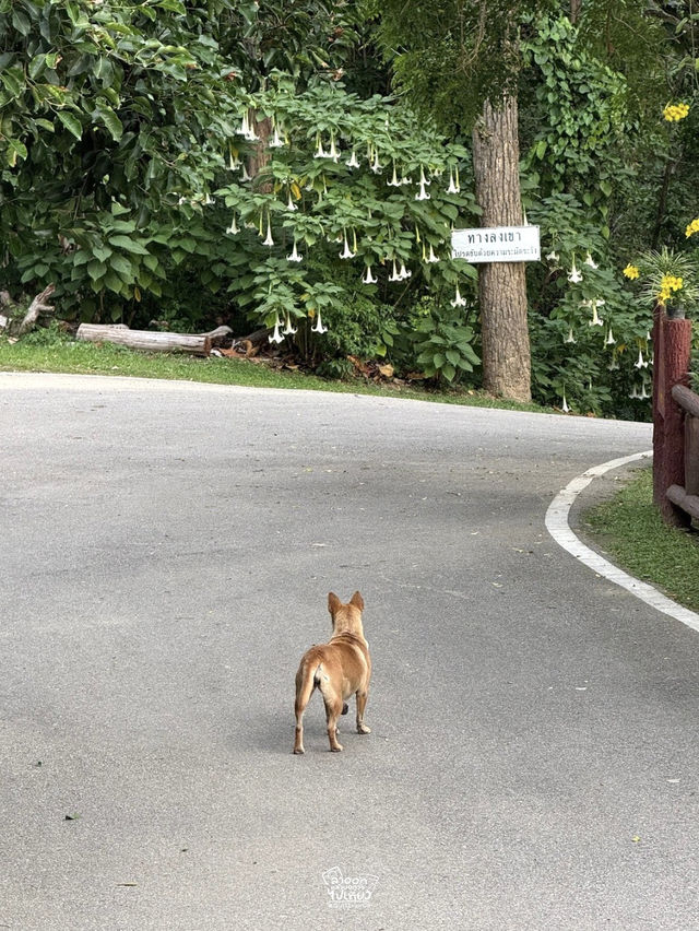 ไปเติมพลังให้ธรรมชาติโอบกอดกัน !!! ไปเติมพลังให้ธรรมชาติโอบกอดกัน !!!