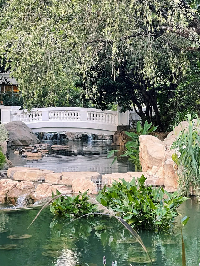 A Serene Escape: Flowers in Hong Kong Park