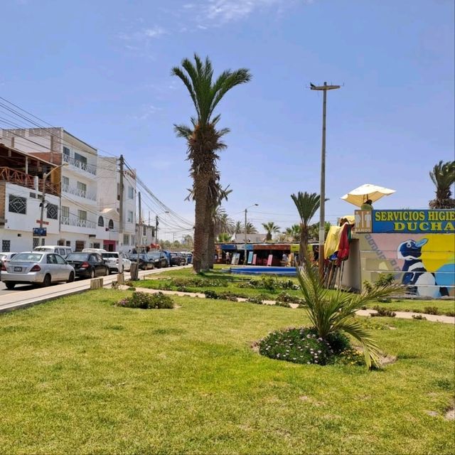 Exploring the Natural Wonders of Paracas and the Ballestas Islands