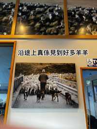 嘔心瀝血庫克山三日兩夜極致攻略，港女慳錢秘訣