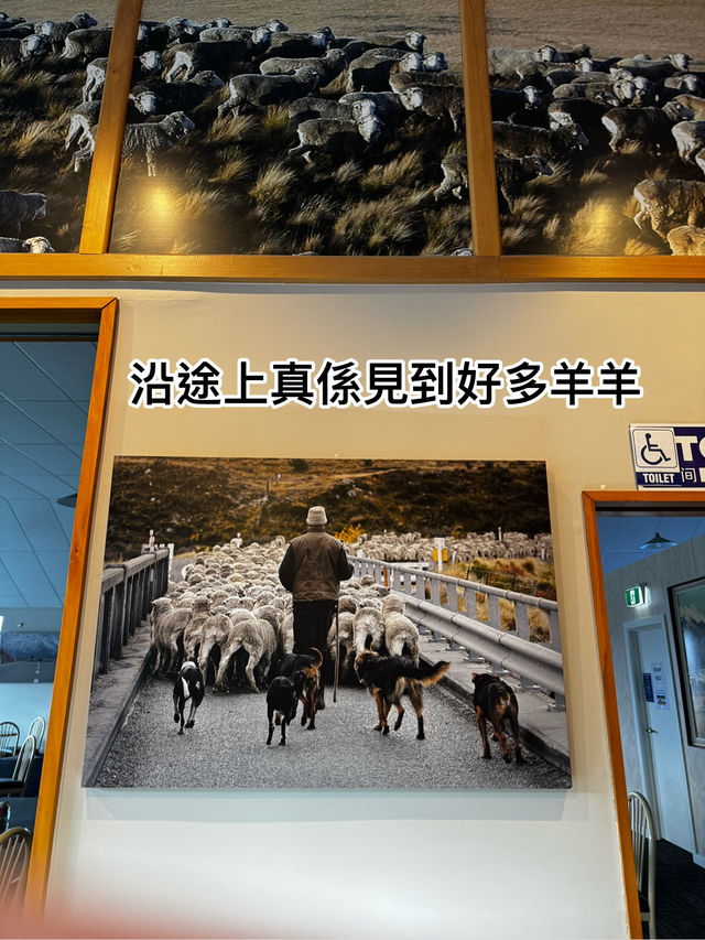 嘔心瀝血庫克山三日兩夜極致攻略，港女慳錢秘訣