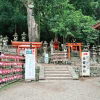 Kasuga Taisha Shrine : Nara’s Timeless Lantern Sanctuary